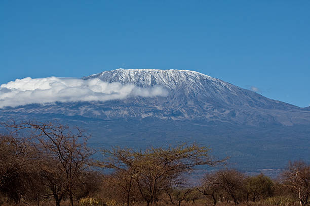 Conquer Kilimanjaro's Peak