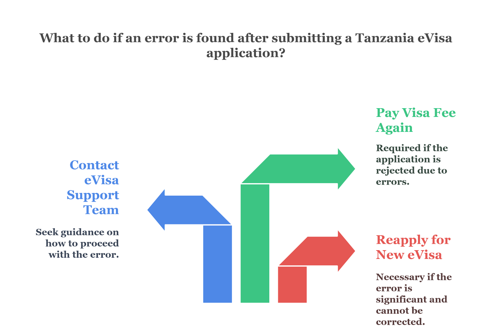 Can I Edit My Tanzania Evisa Application After Submission