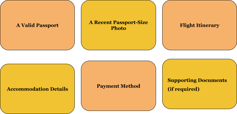 Essential Documents Needed For A Successful Tanzania Evisa Application