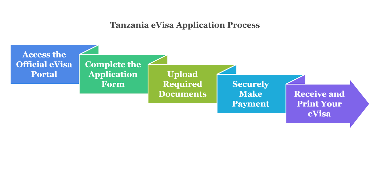 How Do I Apply For A Tanzania Evisa