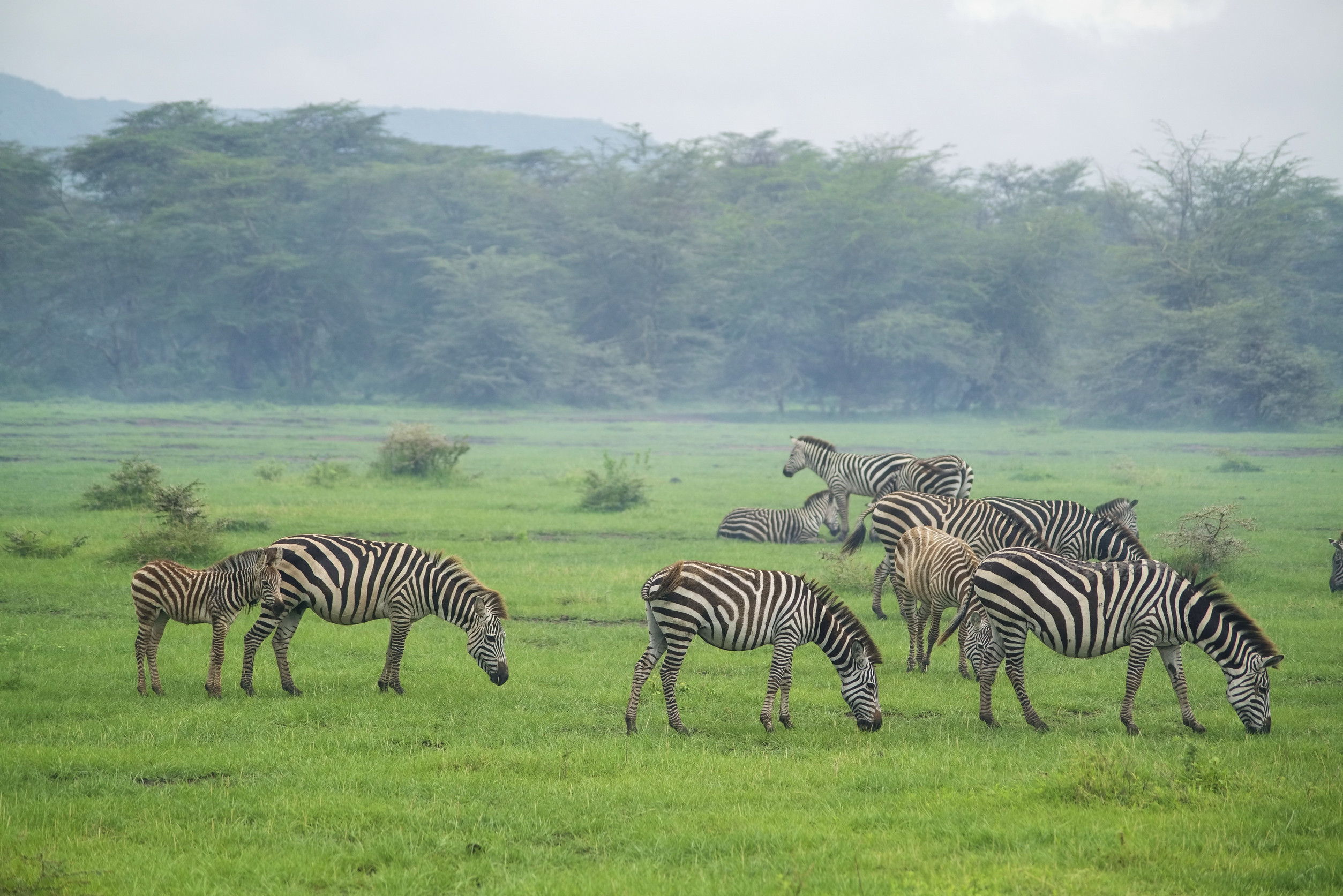 Low Season And Budget Friendly Safaris