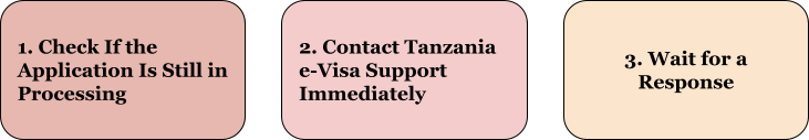 What to Do If You Made a Mistake on Your Tanzania eVisa Application?