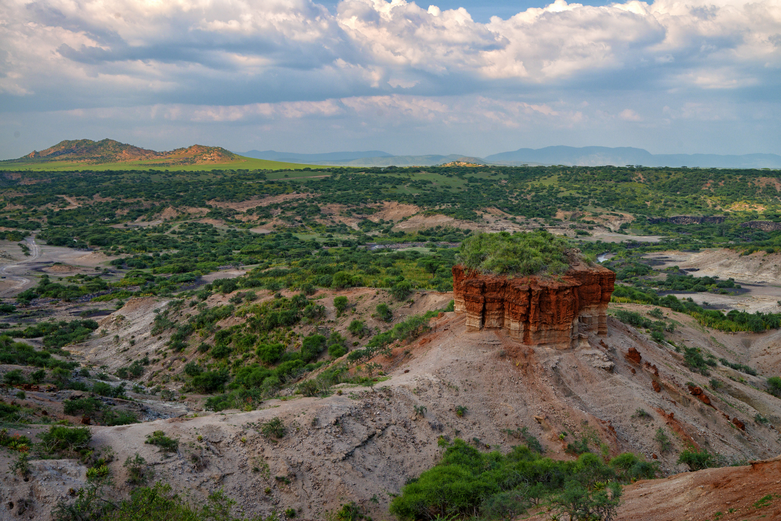 Olduvai Gorge – The Cradle of Humankind