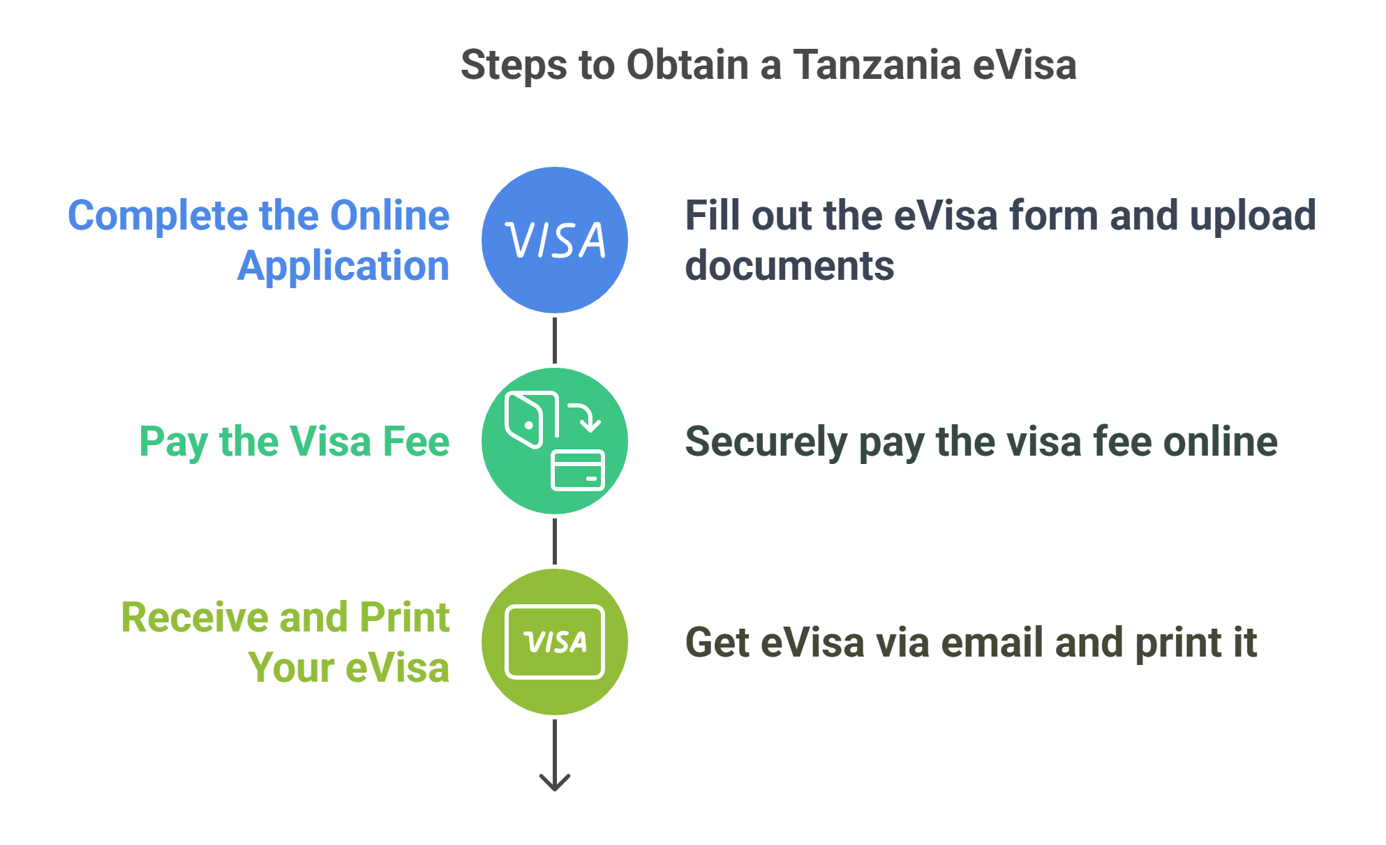 Overview Of The Tanzania Evisa