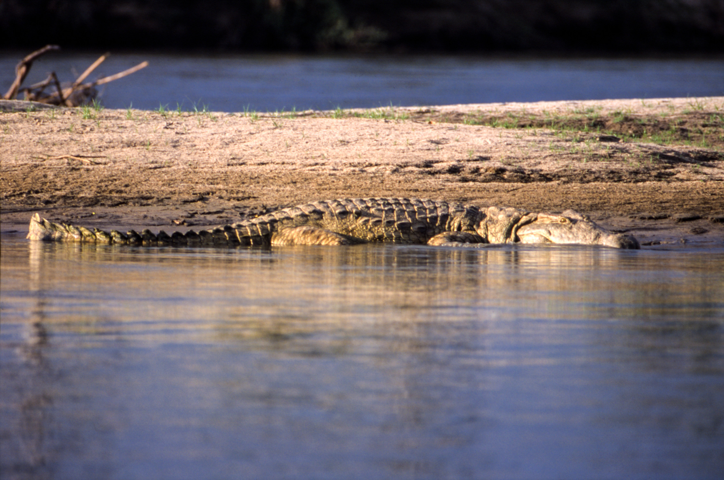 Selous Game Reserve