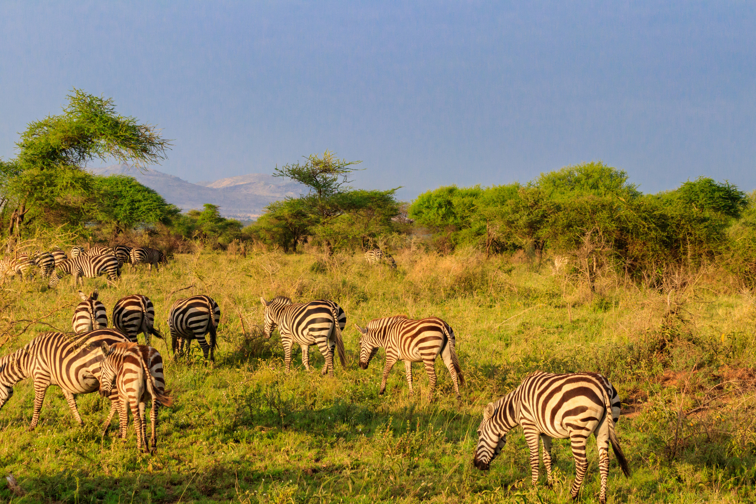 Serengeti National Park