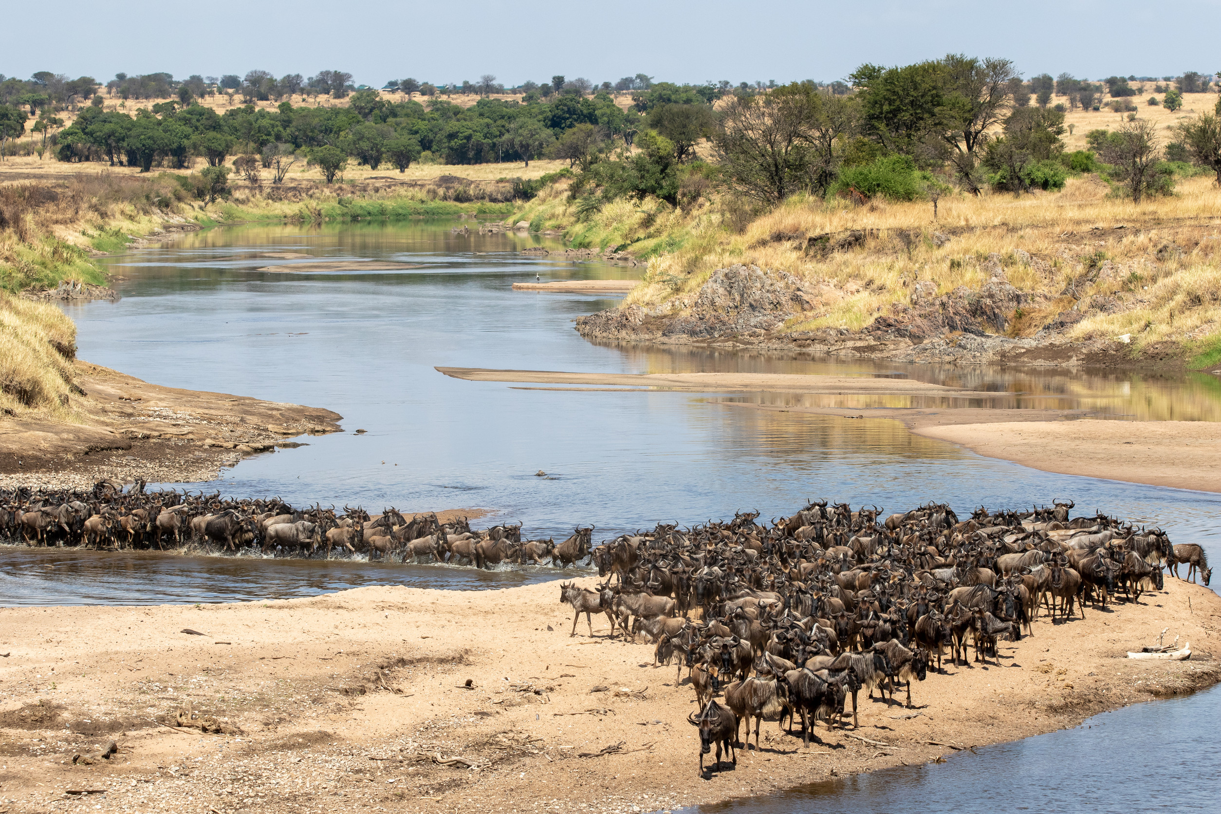 The Great Migration And Local Festivals