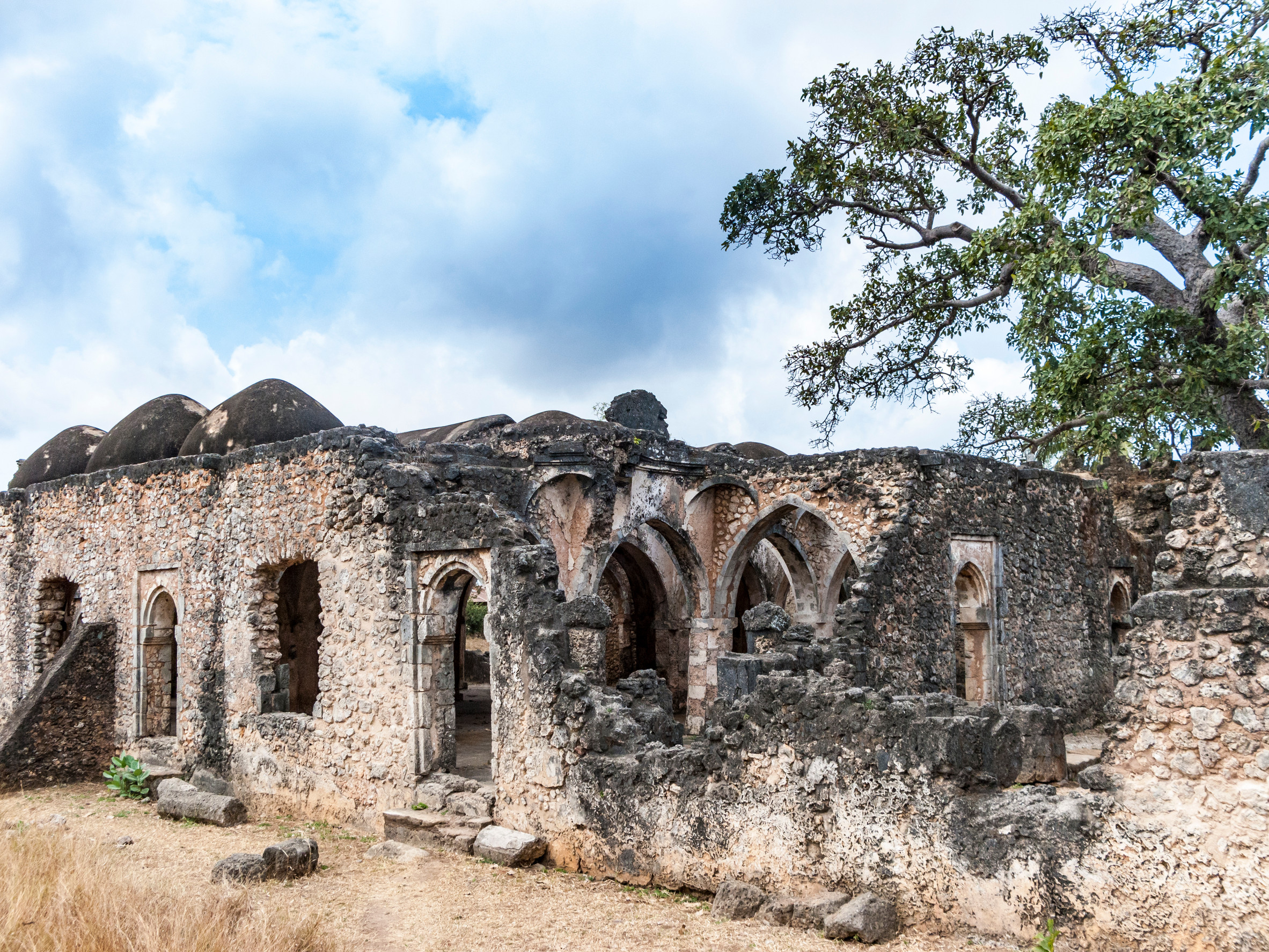 The Great Mosque Of Kilwa Kisiwani