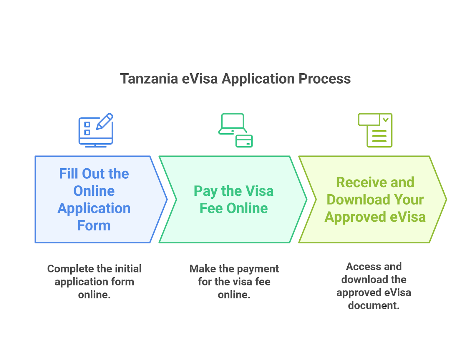 Understanding The Tanzania Evisa