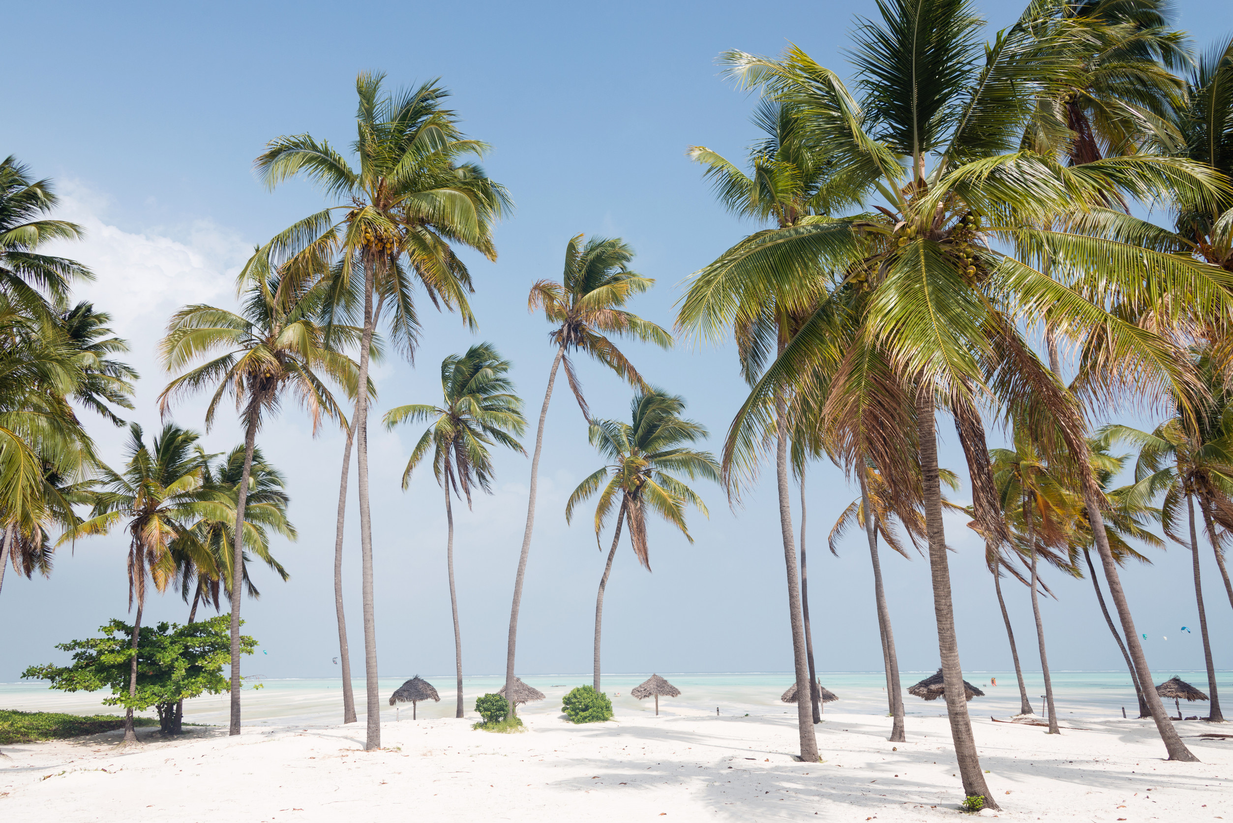 Best Time to Visit Zanzibar and Tanzania’s Coastline