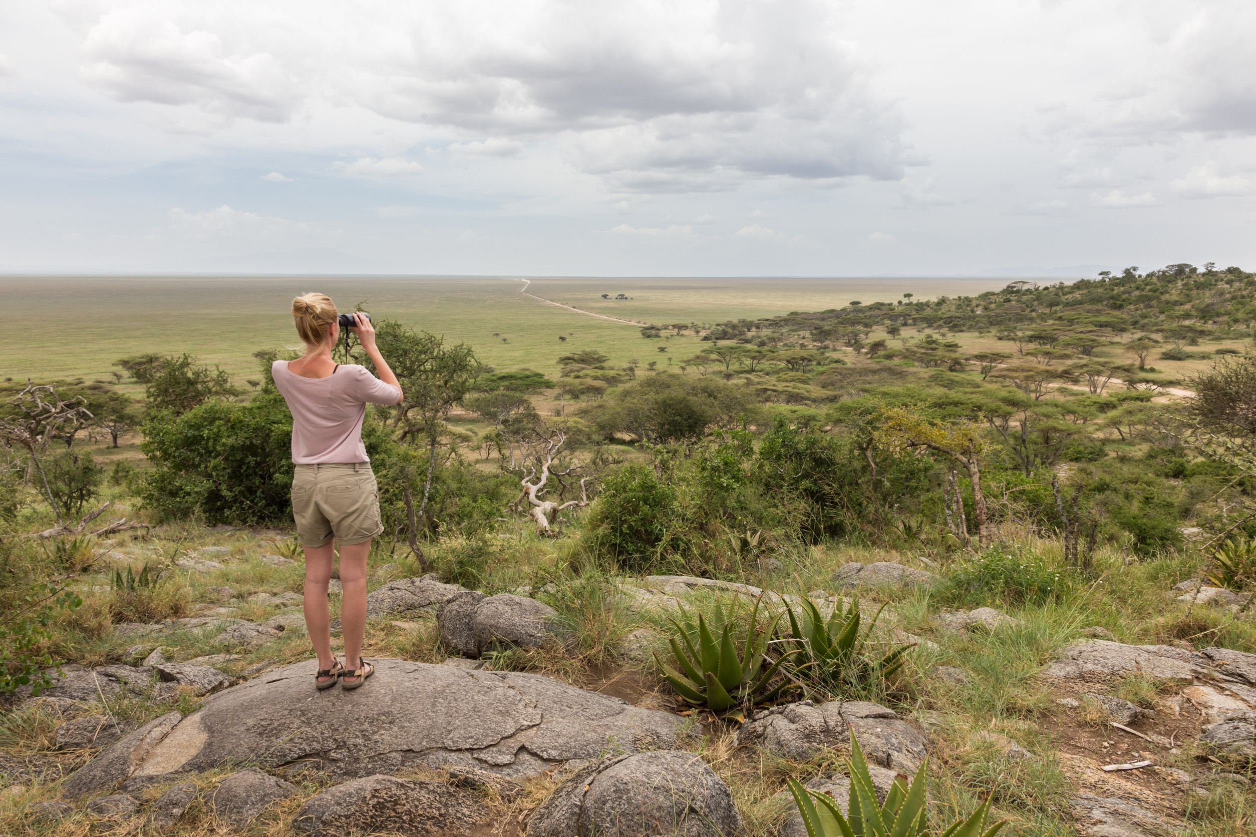 Walking Safaris